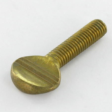 1 x Tornillo viola Latón M8X30