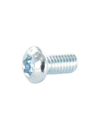 1 x Tornillo metales cabeza abombada TORX T20...