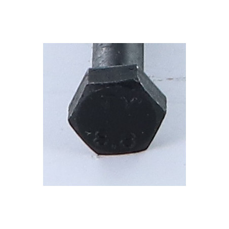 1 x Cuerpo de perno roscado parcial cabeza hexagonal M10X250 Clase 8.8 Acero bruto