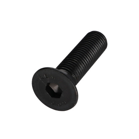 1 x Tornillo metales FHC cabeza fresada cavidad hexagonal hueca llave de 10 M14X60 roscado total clase 10.9 Acero bruto