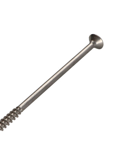 1 x Tornillo madera aglomerado Inoxidable A2...