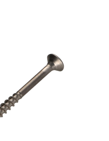 1 x Tornillo madera aglomerado Inoxidable A2...
