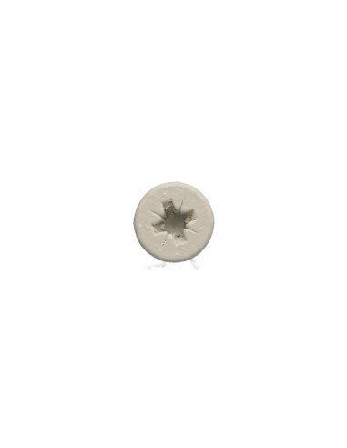 1 x Tornillo madera aglomerado Inoxidable A2...