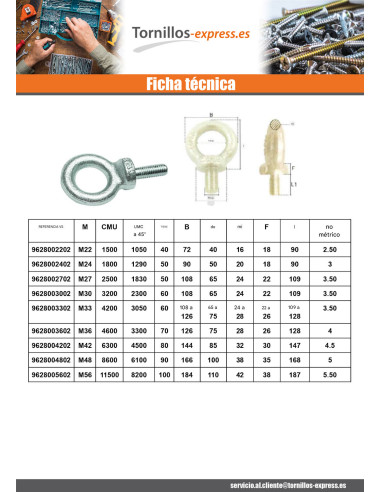 1 x Anilla de elevación MASCULINO M45 Acero...