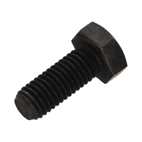 1 x Tornillo metales cabeza hexagonal M10X25 Clase 8.8 Acero bruto