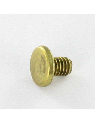 1 x OBTURADOR Latón cabeza plana 4.3X6 TORX T9...