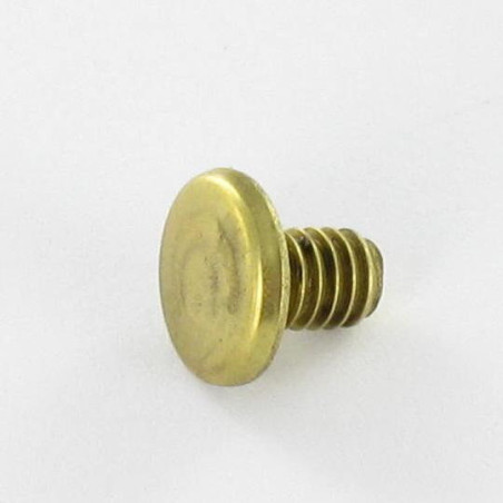 1 x OBTURADOR Latón cabeza plana 4.3X6 TORX T9 EP1.5