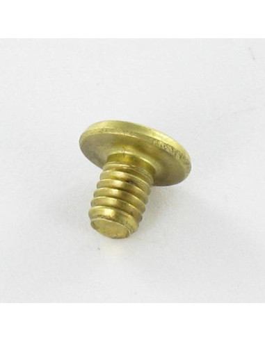 1 x OBTURADOR Latón cabeza plana 4.3X6 TORX T9...