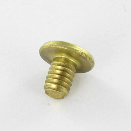 1 x OBTURADOR Latón cabeza plana 4.3X6 TORX T9 EP1.5