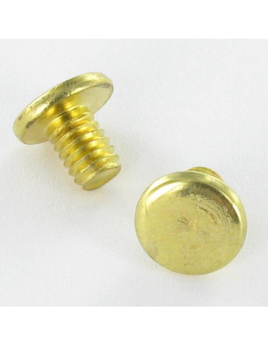 1 x OBTURADOR Acero latonado cabeza plana 4.3X6...