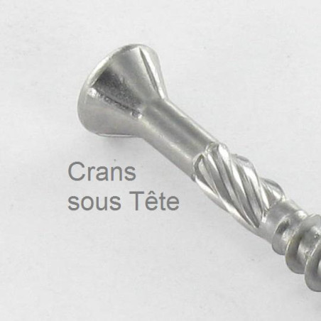 1 x Tornillo terraza TEKOR cabeza fresada abombada TORX T15 4X45 cut punta antihendidura tipo 17 Inox C2
