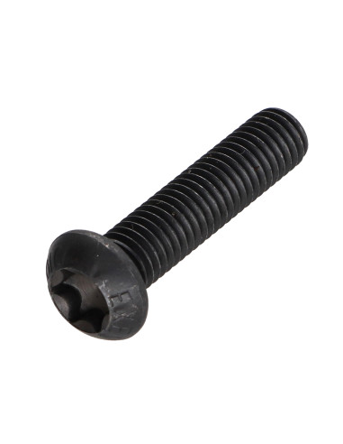 1 x Tornillo metales cabeza abombada TORX T40...