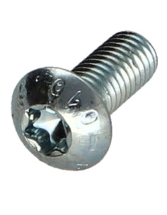 Tornillo metales cabeza abombada TORX T25 M5X12 clase...