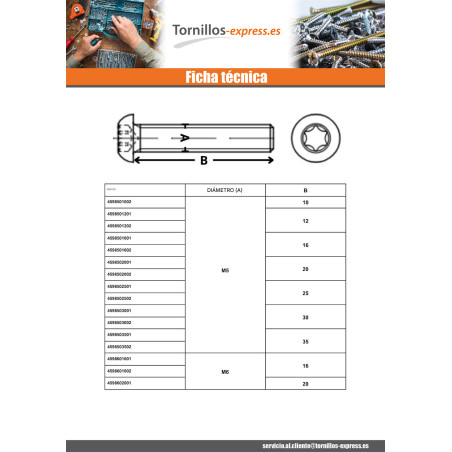 1 x Tornillo metales cabeza abombada TORX T20 M4X10 clase 10.9 Acero