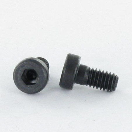1 x Tornillo metales CHC BTR BAJO/AGUJERO llave de 4 M5X8 Clase 8.8 Acero bruto