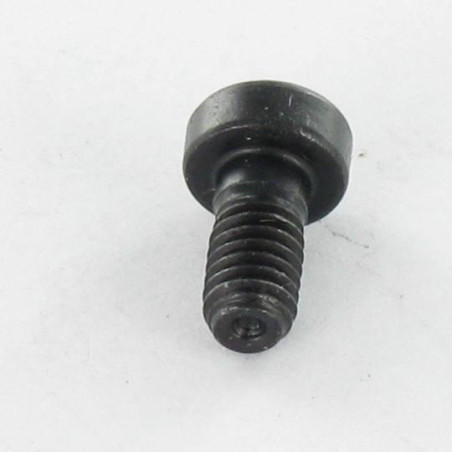 1 x Tornillo metales CHC BTR BAJO/AGUJERO llave de 8 M10X20 Clase 8.8 Acero bruto