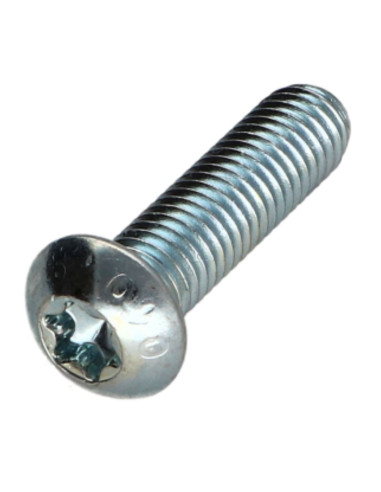 1 x Tornillo metales cabeza abombada TORX T40...