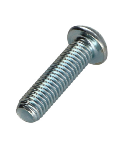 1 x Tornillo metales cabeza abombada TORX T40...