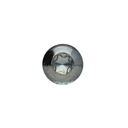 1 x Tornillo metales cabeza abombada TORX T40 M8X30 clase 10.9 Acero cincado blanco