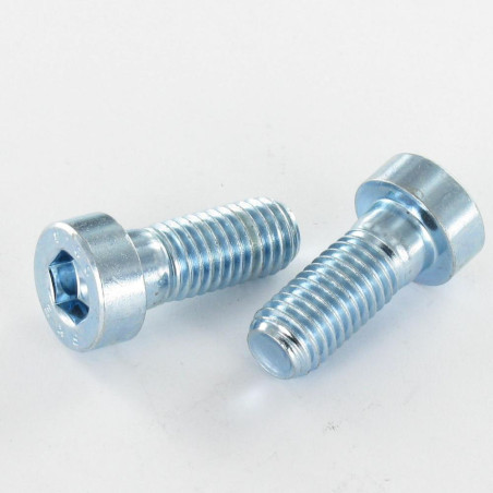 1 x Tornillo metales CHC BTR BAJO/AGUJERO llave de 8 M10X20 Clase 8.8 Acero cincado blanco