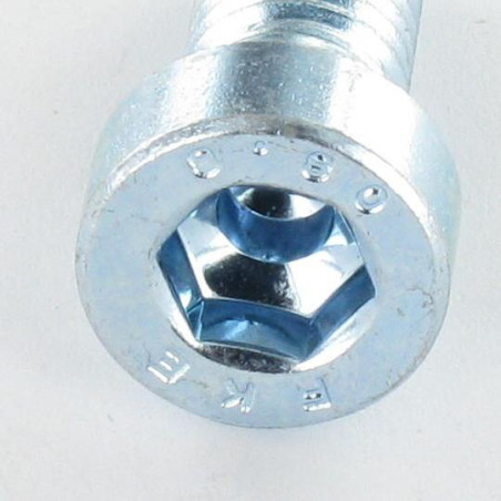 1 x Tornillo metales CHC BTR BAJO/AGUJERO llave de 8 M10X20 Clase 8.8 Acero cincado blanco