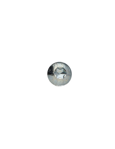 1 x Tornillo metales cabeza abombada TORX T20...