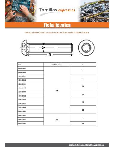 1 x Tornillo metales cabeza abombada TORX T25...