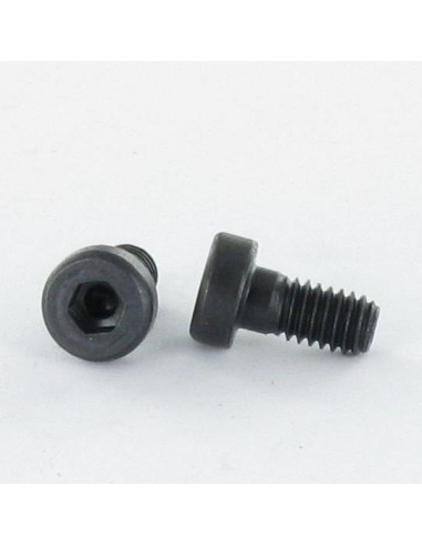 1 x Tornillo metales CHC BTR BAJO/AGUJERO llave...