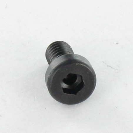 1 x Tornillo metales CHC BTR BAJO/AGUJERO llave de 8 M10X25 Clase 8.8 Acero bruto