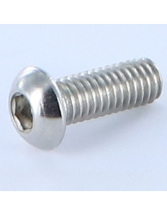 Tornillo metales Cabeza Abombada con Hueco hexagonal M6X8...