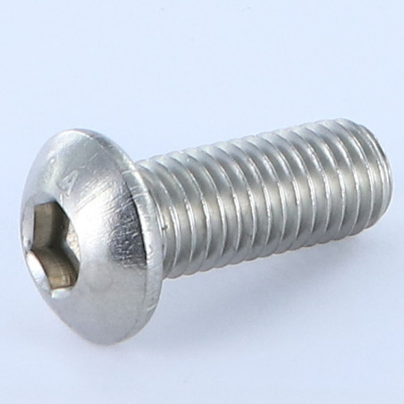 1 x Tornillo metales Cabeza Abombada con Hueco hexagonal M10X16 roscado total llave de 6 Inoxidable A4