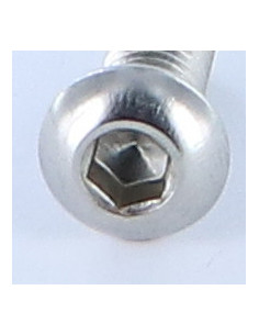Tornillo metales Cabeza Abombada con Hueco hexagonal M6X8... 2