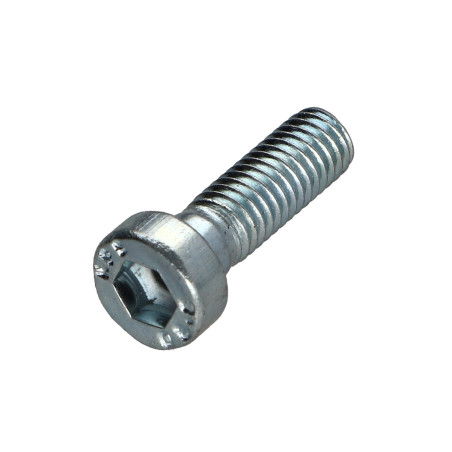 1 x Tornillo metales CHC BTR BAJO/AGUJERO llave de 5 M6X20 Clase 8.8 Acero cincado blanco