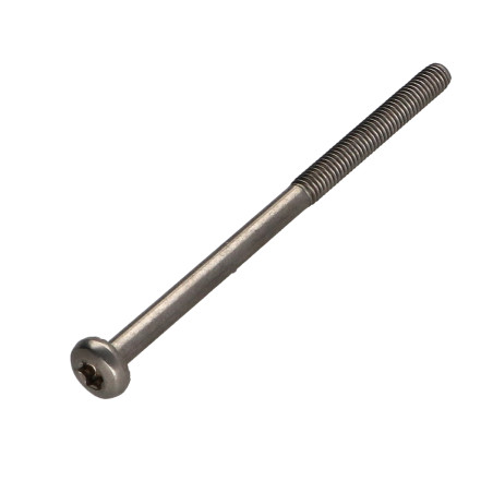 1 x Tornillo metales cabeza cilíndrica abombada TORX T20 4X78 roscado en 30 Inoxidable A2