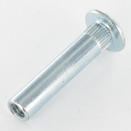 1 x Tuerca encuadernador Pozi ranura 8X38 M6X15 Acero cincado blanco