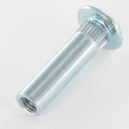 1 x Tuerca encuadernador Pozi ranura 8X31 M6X15 Acero cincado blanco