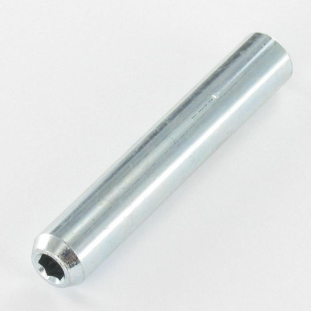 1 x Pasador cilíndrico roscada 9X53 roscado en M6X27 llave de 4 Acero cincado blanco