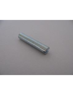 Tuerca encuadernador cilíndrico ranura M5X22 7X36 Acero...