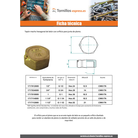 1 x Conector hembra Figura 300 15x21 (1/2") con sello de plomo Latón