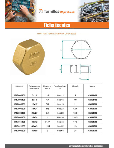 1 x Conector hembra Figura 300 8x13 (1/4") Latón