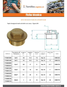 Conector macho Figura 290 15x21 (1/2") Latón 2
