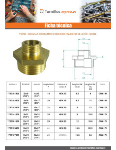 Figura de pezón reducida 245 Masculino / Masculino 50x60... 2