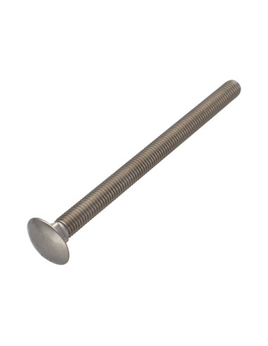 1 x Cabeza redonda cuello cuadrado Inoxidable...