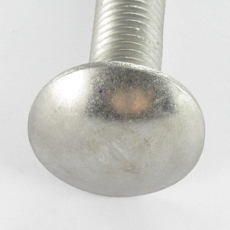 1 x Cabeza redonda cuello cuadrado Inoxidable A2 M12X35 roscado total