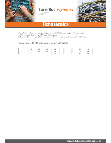 1 x Cabeza redonda cuello cuadrado Inoxidable...