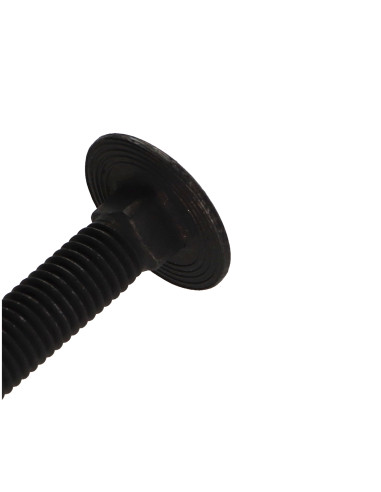 1 x Cabeza redonda cuello cuadrado Inoxidable...