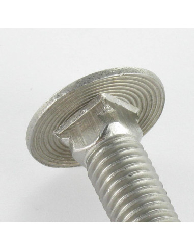 1 x Cabeza redonda cuello cuadrado Inoxidable...
