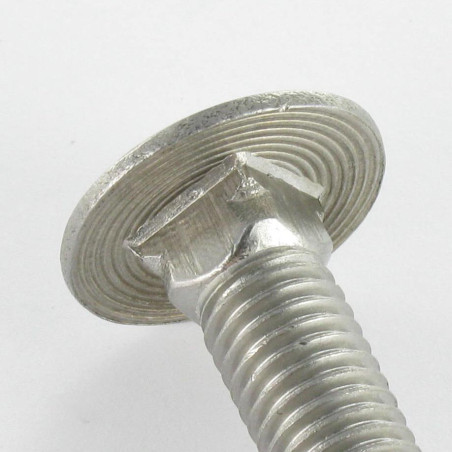 1 x Cabeza redonda cuello cuadrado Inoxidable A2 M8X35 roscado parcial