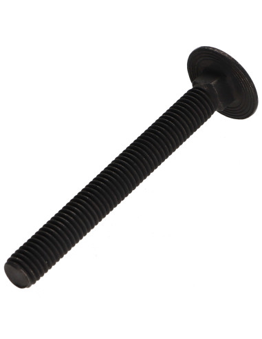 1 x Cabeza redonda cuello cuadrado Inoxidable...