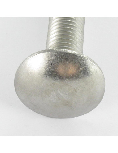 1 x Cabeza redonda cuello cuadrado Inoxidable...